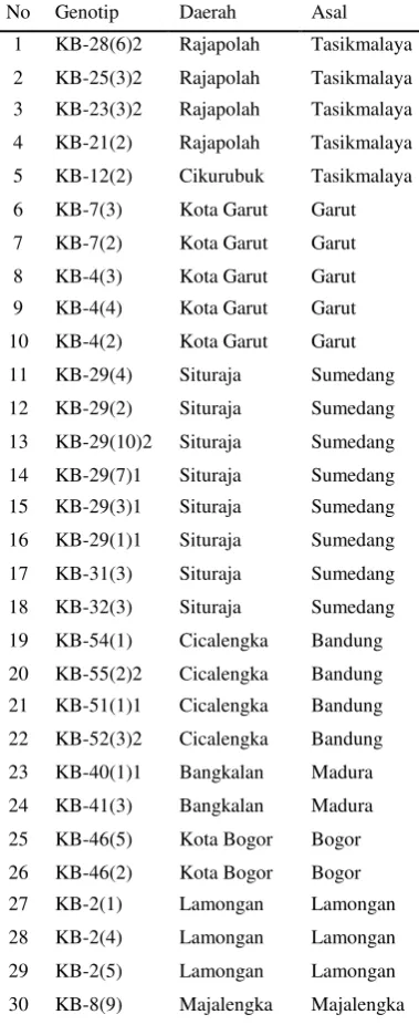 Tabel 1. Daftar Genotip Kacang Bambara 