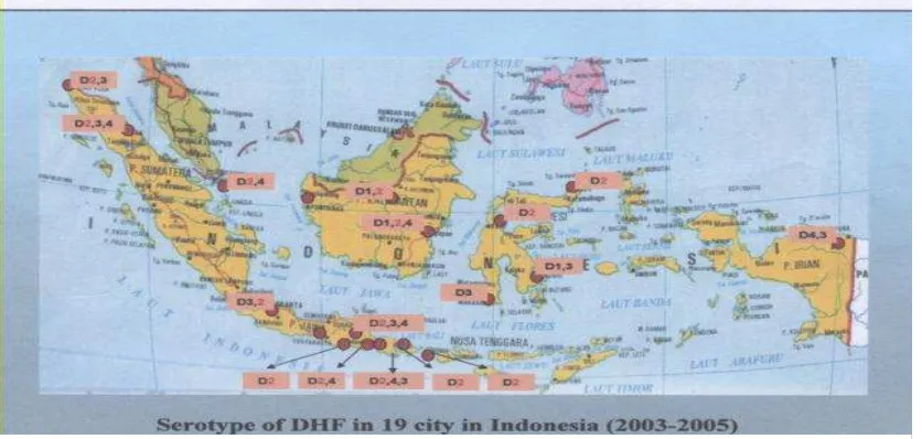Gambar 4. Peta Penyebaran Serotipe Virus Dengue di 19 Kota di Indonesia  