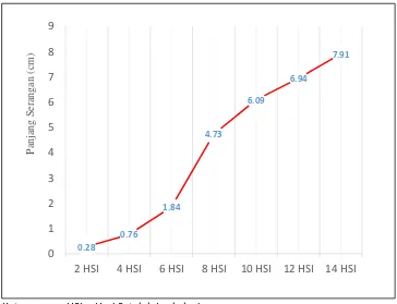 Gambar 1. Grafik pertumbuhan C. acutatum pada buah cabai 