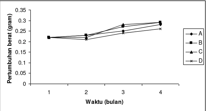 Gambar 3. Grafik Pertumbuhan mutlak individu ikan Rasbora sp. selama pemeliharaan enam  bulan di akuarium 