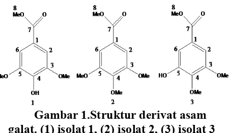 Gambar 1.Struktur derivat asam 
