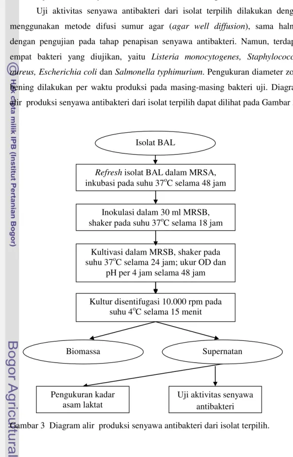 Gambar 3  Diagram alir  produksi senyawa antibakteri dari isolat terpilih. 