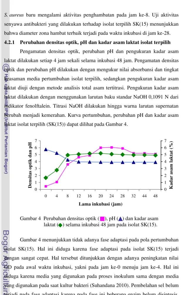 Gambar 4  Perubahan densitas optik (    ), pH (   ) dan kadar asam         laktat (   ) selama inkubasi 48 jam pada isolat SK(15)