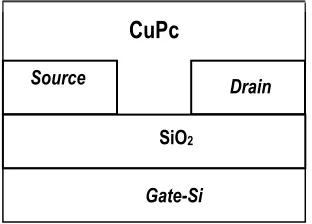 Gambar 2. Struktur OFET bottom-contact 