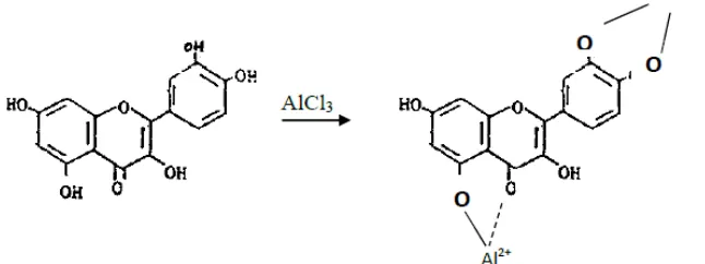 Gambar 1. Pembentukan senyawa kompleks kuersetin-alumunium klorida. 
