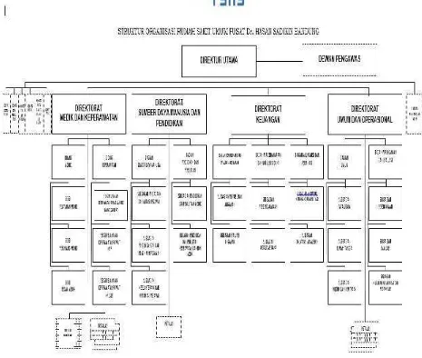 Gambar 2.1 Struktur Organisasi RSUP Dr. Hasan Sadikin