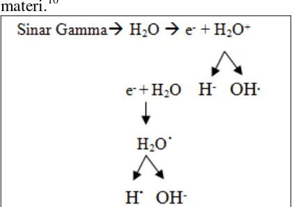 Gambar 1. Efek sinar gamma dalam molekul air 