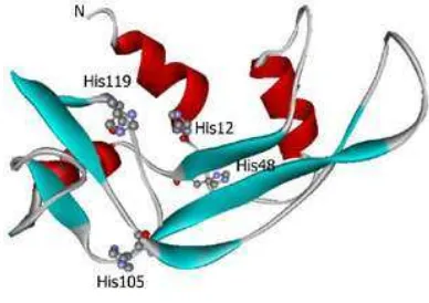 Gambar 7. Struktur lembar � protein 