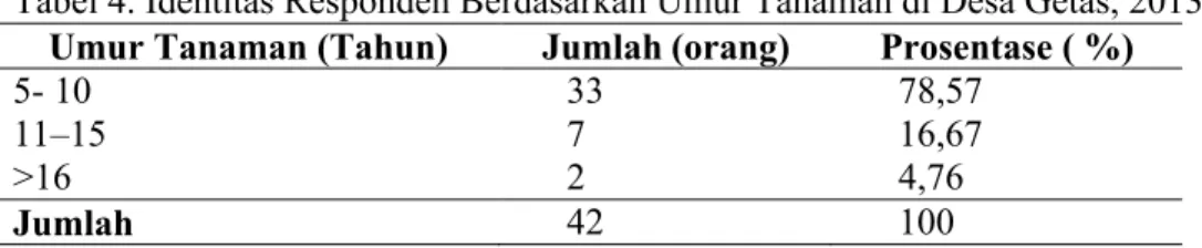 Tabel 4. Identitas Responden Berdasarkan Umur Tanaman di Desa Getas, 2013. Umur Tanaman (Tahun) Jumlah (orang) Prosentase ( %) 5- 10 11–15 &gt;16 3372 78,5716,674,76 Jumlah 42 100
