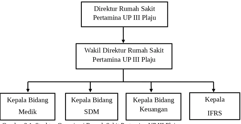 Gambar 3.1. Struktur Organisasi Rumah Sakit Pertamina UP III PlajuSumber: Rumah Sakit Pertamina UP III Plaju (2013)