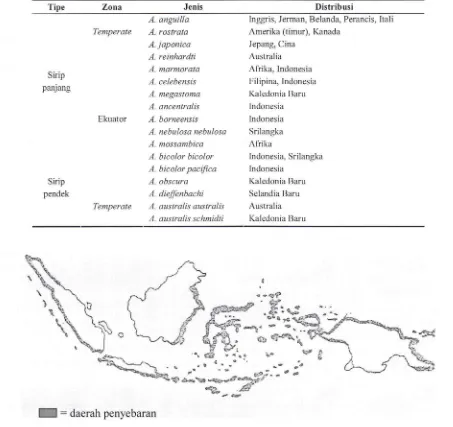 Tabel l. Klasifikasi, zonasi dan distribusi geografi ikan sidat (Tomiyama andHibya,1977).