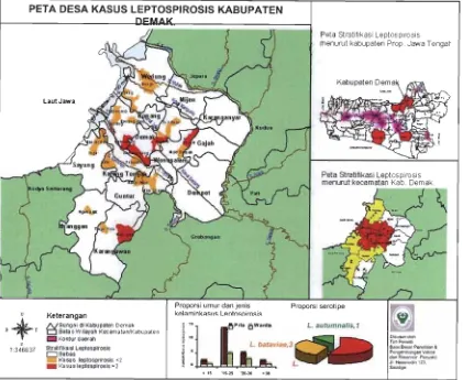 Gambar 2. Fluktuasi kasus leptospirosis menurat waktudi Kab. Demak, Jawa Tengah, 2004-2006