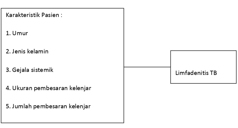 Gambar 3.2. Kerangka Konsep Penelitian Karakteristik Pasien Limfadenitis  