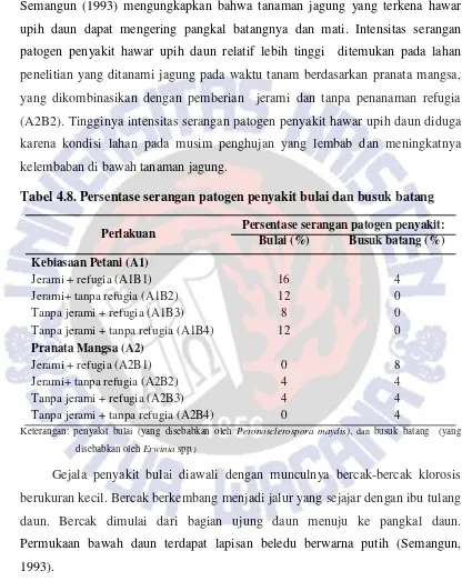 Tabel 4.8. Persentase serangan patogen penyakit bulai dan busuk batang 