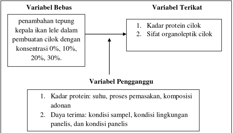 Gambar 3.1.Skema Kerangka Konsep 