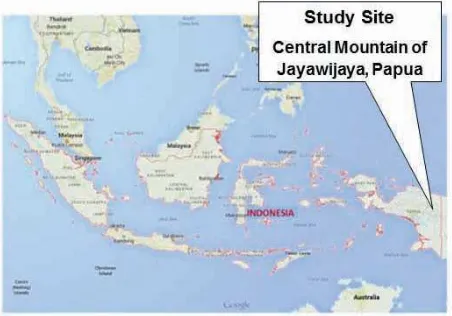 Figure 1. Study site in Papua, Indonesia