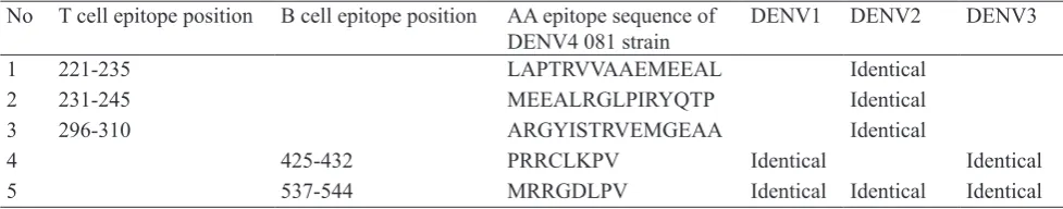 Table 4. T dan B cell epitopes position of NS3 DENV4 081 protein which is identical to NS3 DENV 1, 2, 3 dan 4 protein Indonesia strain