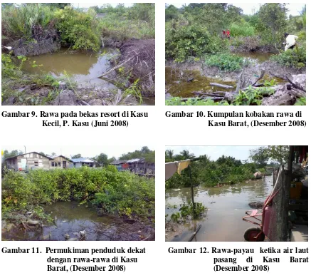 Gambar 10. Kumpulan kobakan rawa di Kasu Barat, (Desember 2008) 