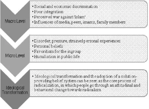 FIGURE 1. ROOT CAUSE MODEL OF ISLAMIC RADICALIZATION (VELDHUIS & STAUN, 2009). 