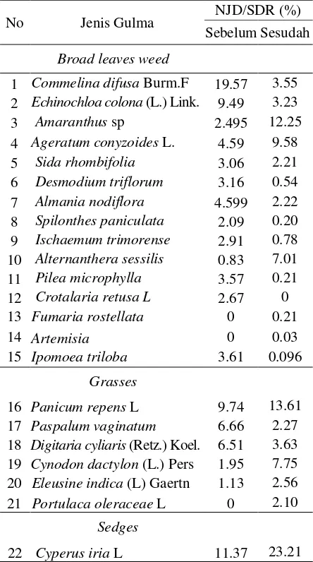 Tabel 1. Komposisi Gulma dan SDR/NJD (%)  Sebelum dan Sesudah Percobaan. 
