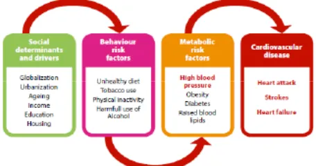 Fig 2. Main contributory factors to HBP and its compli-cations (WHO 2014)