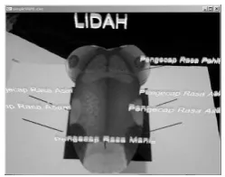 Gambar 11. Screenshoot Kulit 