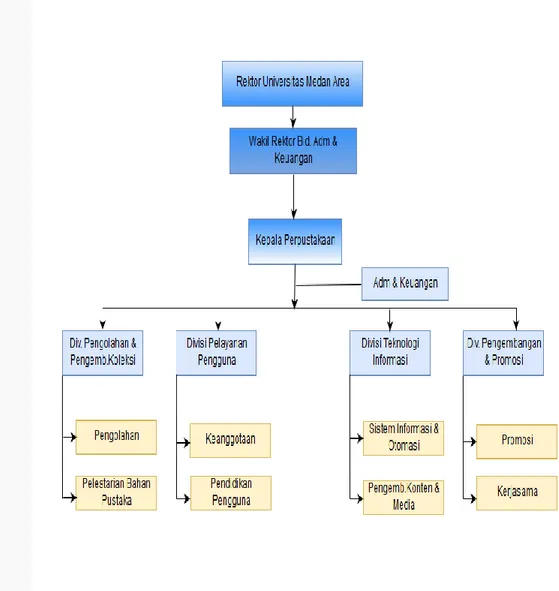 Gambar 1: Gambar strutur organisasi perpustakaan UMA  Sumber : Perpustakaan Universitas Medan Area 