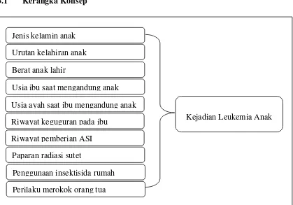Gambar 3.1 Diagram Alir Kerangka Konsep Faktor-Faktor Risiko yang Berhubungan dengan Kejadian Leukemia Anak di Kota Semarang 