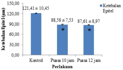 Gambar 1. Rata-rata Ketebalan Epitel Tubulus 