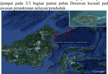 Gambar 1.1 Peta lokasi pantai Pulau Derawan  Sumber : google earth 