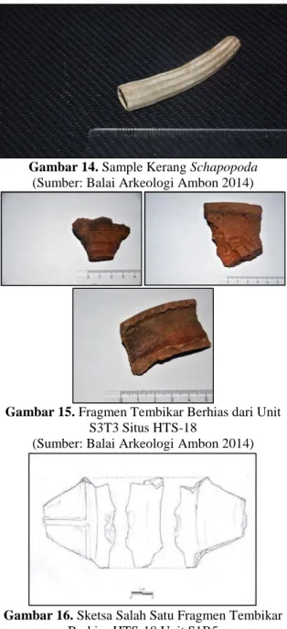 Gambar 14. Sample Kerang Schapopoda  (Sumber: Balai Arkeologi Ambon 2014) 