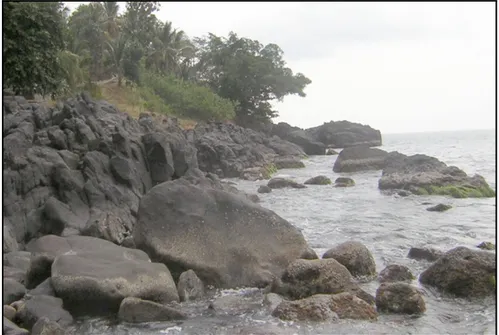 Foto 3. Pantai berpasir dan lava andesit (Pantai tipe III) (PSN-22)