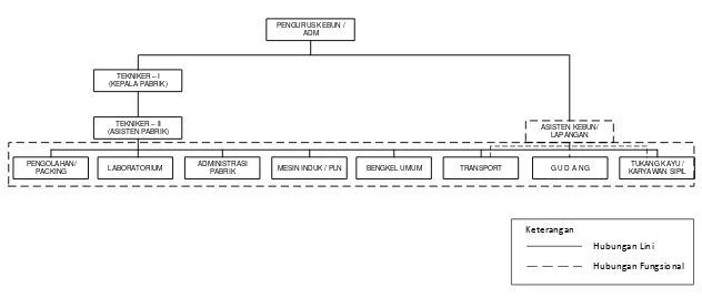 Gambar 2.2. Struktur Organisasi PT. Socfin Indonesia Kebun Tanah Besih 