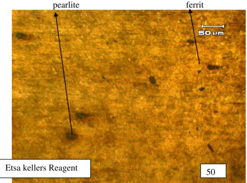 Gambar 3. foto struktur mikro baja pegas daun Baru dengan pembesaran 50X 