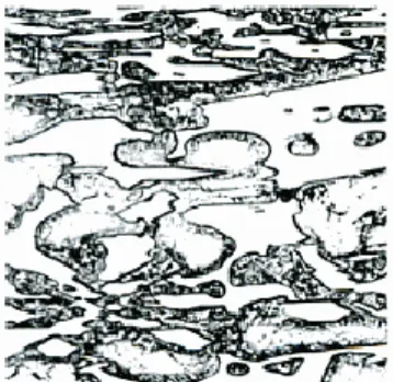 Gambar 2.7  High chromium white cast iron dengan matriks  austenitic-martensitik perbesaran 500x (Davis J