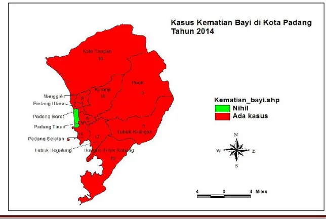 Gambar 3.1. Kasus kematian bayi di Kota Padang Tahun 2014