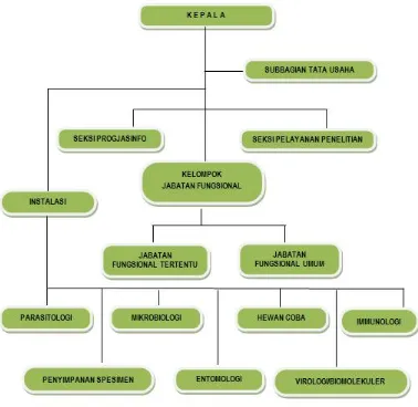 Gambar 1.1. Struktur Organisasi Balai Litbang Biomedis Papua