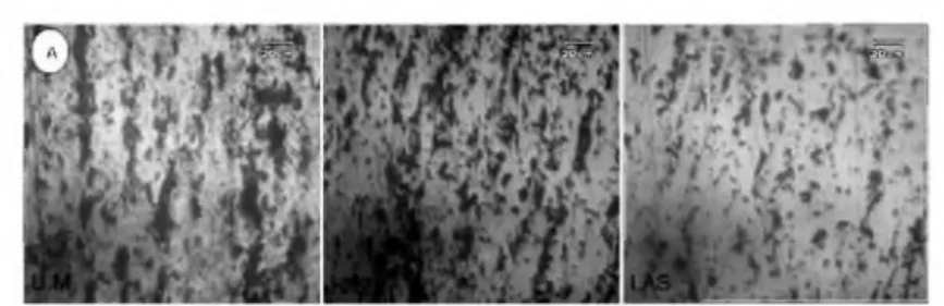 Gambar 6.  Foto struktur mikro hasil lasan dengan suhu preheat 175 oC besar arus  110A