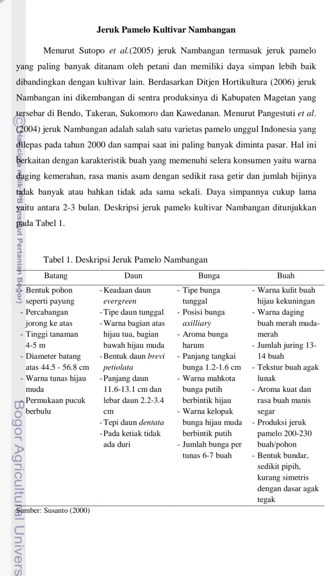 Tabel 1. Deskripsi Jeruk Pamelo Nambangan  