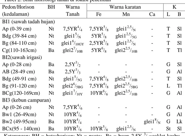Tabel 2. Sifat morfologi tanah di lokasi penelitian  Pedon/Horison  (kedalaman)  BH  Warna Tanah  Warna karatan  K  Fe  Mn  Ca  L  B 