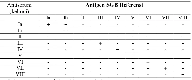 Tabel 5. Hasil uji kespesifikan antiserum terhadap tipe SGB setelah absorbsi 