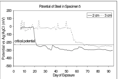 Figure 6. Potential of Steel Reinforcement.  