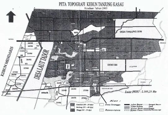 Gambar 2, Peta Topografi Kebun Tanjung Kasau  