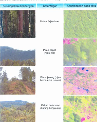 Gambar 6 Kelas tipe penutupanlpenggunaan lahan di Kabupaten Gayo Lues. 