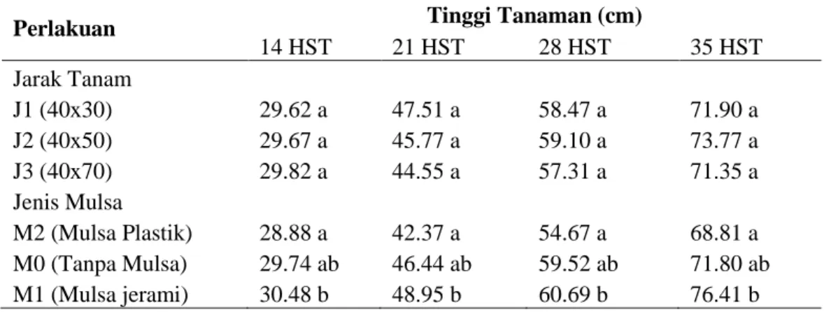 Tabel  1.  Pengaruh  Jarak  Tanam  (J)  dan  Mulsa  (M)  Terhadap  Tinggi  Tanaman  Tomat   Pada Berbagai Umur Pengamatan
