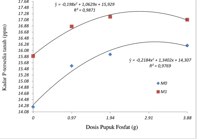 Gambar 3. Hubungan Dosis Pemupukan Fosfat (g) dengan kadar P-tersedia (ppm) 