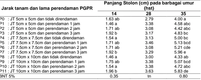 Tabel 1 Panjang Stolon Kombinasi Jarak Tanam dan Lama Perendaman PGPR pada Berbagai  Umur