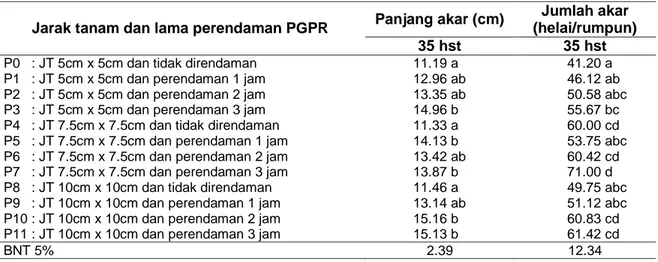 Tabel  3  Panjang  dan  Jumlah  Akar  Kombinasi  Jarak  Tanam  dan  Lama  Perendaman  PGPR Jarak tanam dan lama perendaman PGPR  Panjang akar (cm) 