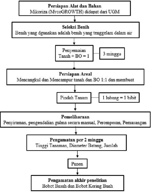 Gambar 1. Prosedur Penelitian HASIL DAN PEMBAHASAN 