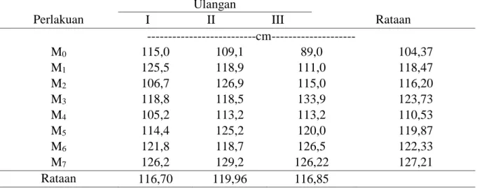Tabel 1. Pengaruh pemberian isolat mikoriza terhadap pertumbuhan tinggi tanaman jagung   Perlakuan  Ulangan  Rataan I II III           --------------------------cm--------------------  M 0 115,0  109,1  89,0  104,37  M 1 125,5  118,9  111,0  118,47  M 2 10